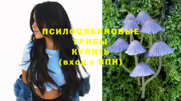 гашиш Кодинск